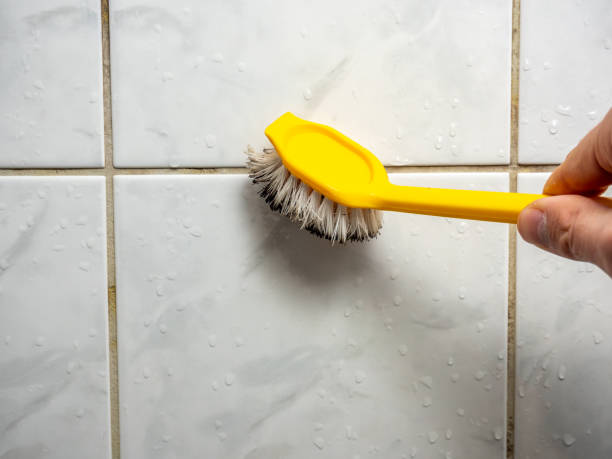 Reliable Sulphur Springs, AR Mold Removal Solutions