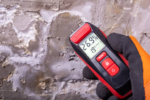Best Attic Mold Removal  in Sulphur Springs, AR